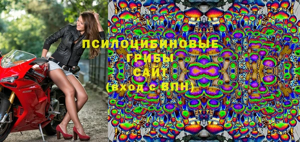гашик Зерноград