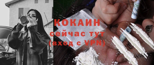 дживик Зеленокумск