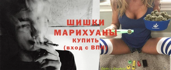 гашик Зерноград