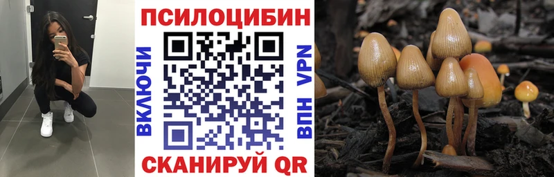 omg Санкт-Петербург Галлюциногенные грибы мицелий