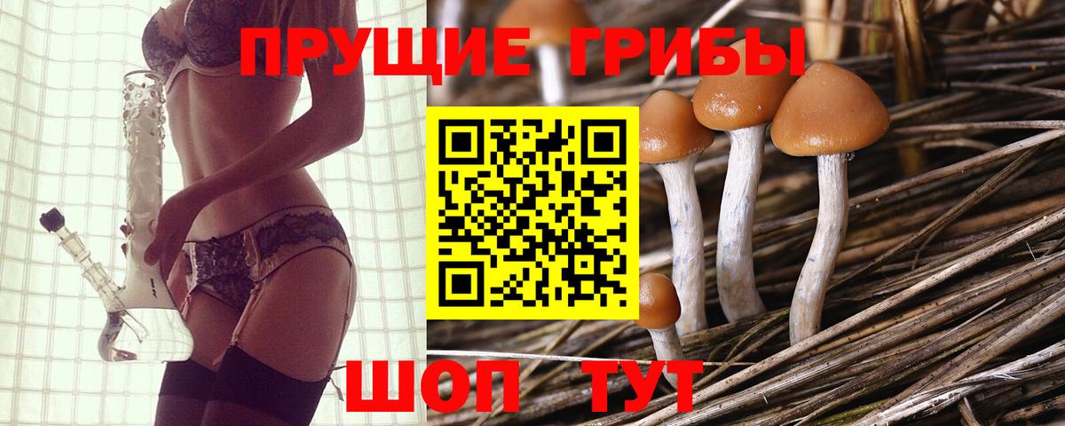 Псилоцибиновые грибы Magic Shrooms Санкт-Петербург