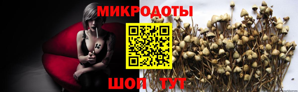 Санкт-Петербург  Псилоцибиновые грибы Cubensis  Вход с VPN 